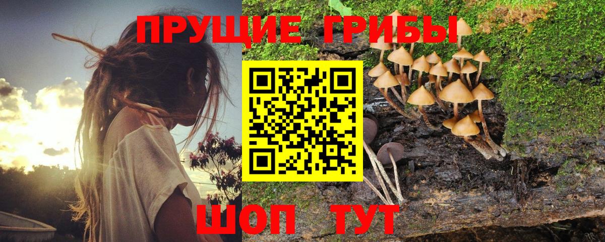 Псилоцибиновые грибы мицелий  Галлюциногенные грибы ЛСД  Вход с VPN  Выкса 